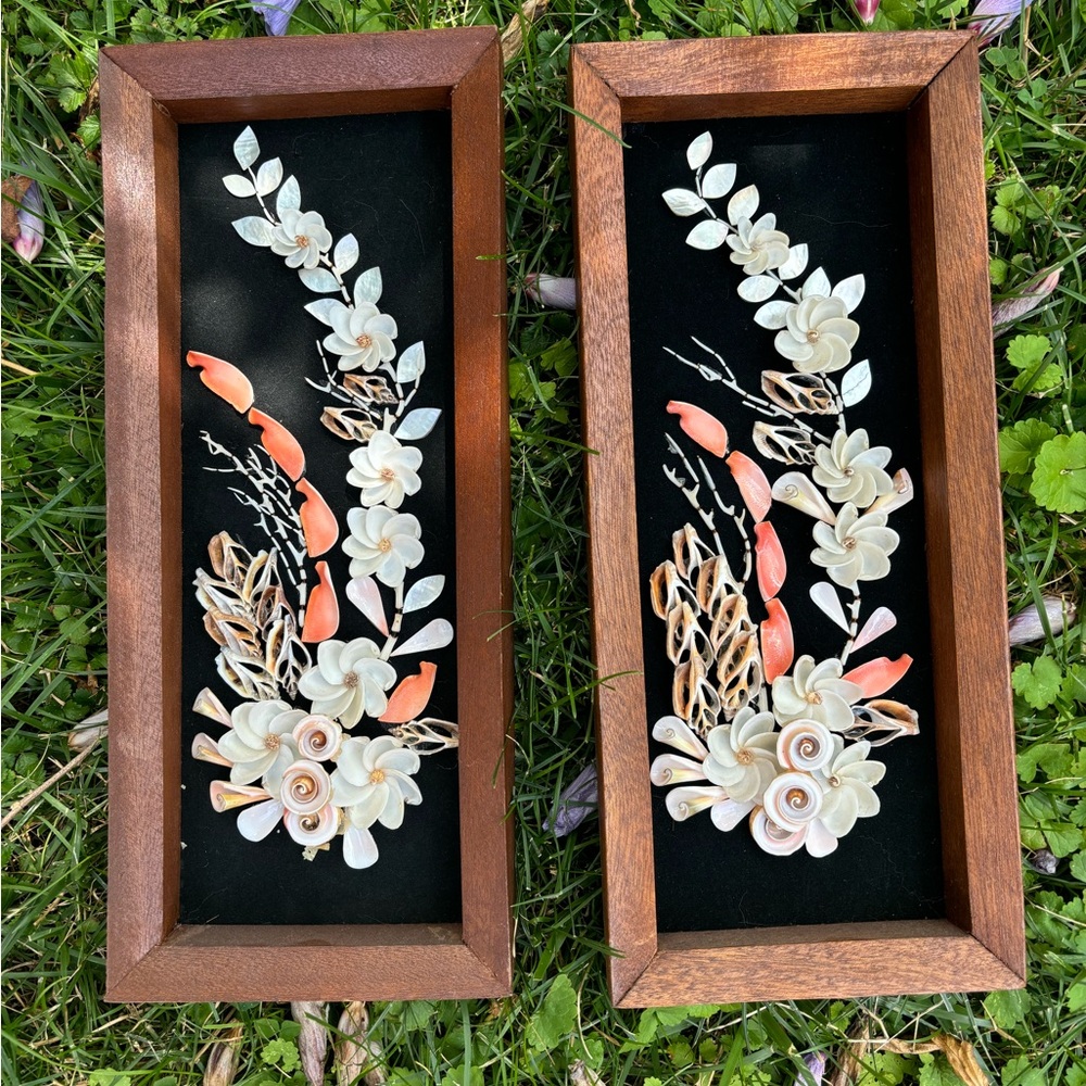 Rare Vintage Seashell Shadow Boxes ~ Wood & Black Velvet ~ Set of 2